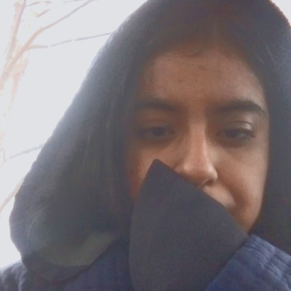 Meet your Posher, Bear - Picture 6 of 16